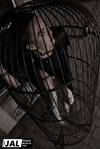 Photography by JAL Visual Media